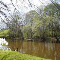 Amerson Farm images 5