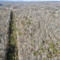 MARKET BASED PRICE IMPROVEMENT 115.362 Acres of Recreational and Hunting Land For Sale in Henry County VA images 2