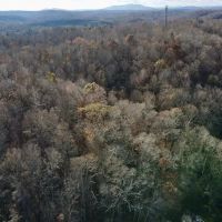 MARKET BASED PRICE IMPROVEMENT 115.362 Acres of Recreational and Hunting Land For Sale in Henry County VA images 3