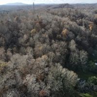 MARKET BASED PRICE IMPROVEMENT 115.362 Acres of Recreational and Hunting Land For Sale in Henry County VA images 4