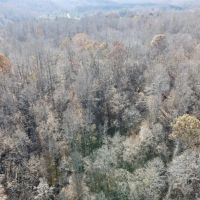 MARKET BASED PRICE IMPROVEMENT 115.362 Acres of Recreational and Hunting Land For Sale in Henry County VA images 5