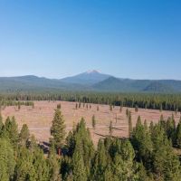 The Cabin on Sand Creek images 2