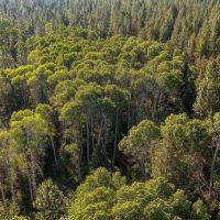The Cabin on Sand Creek images 3