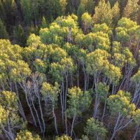 The Cabin on Sand Creek images 4