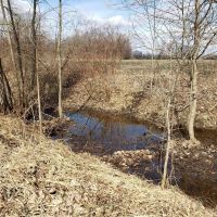 66.07 - acre secluded hunting getaway in Bangor MI.