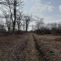 66.07 - acre secluded hunting getaway in Bangor MI. images 2