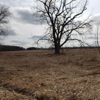 66.07 - acre secluded hunting getaway in Bangor MI. images 3