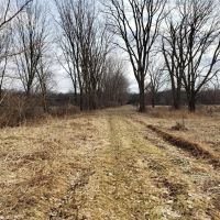 66.07 - acre secluded hunting getaway in Bangor MI. images 5