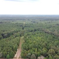 700 Acres Land for Sale Lincoln Parish LA