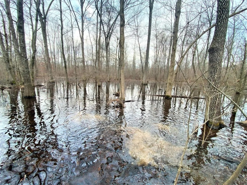 PRICE REDUCED - 320 - Acre Green Tree Reservoir featured image