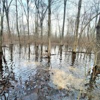 PRICE REDUCED - 320 - Acre Green Tree Reservoir