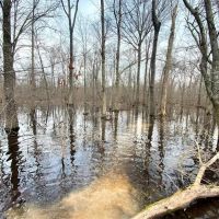 PRICE REDUCED - 320 - Acre Green Tree Reservoir images 2