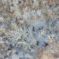 PRICE REDUCED - 320 - Acre Green Tree Reservoir images 3