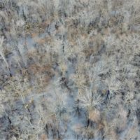 PRICE REDUCED - 320 - Acre Green Tree Reservoir images 4