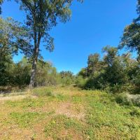 PRICE REDUCED - 320 - Acre Green Tree Reservoir images 5
