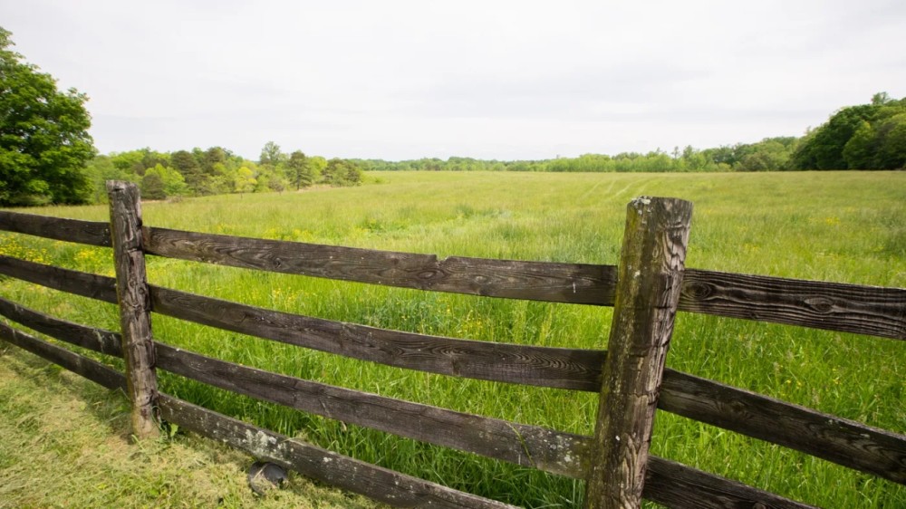 Dooley Farm featured image
