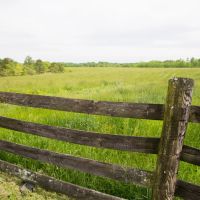 Dooley Farm