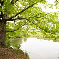 Dooley Farm images 3