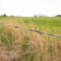 Dooley Farm images 4