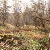 Buckeye Creek images 4