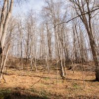 Buckeye Creek images 5