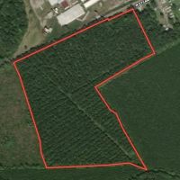 40 ac - Hunting and Timber Land for Sale in Bertie County NC