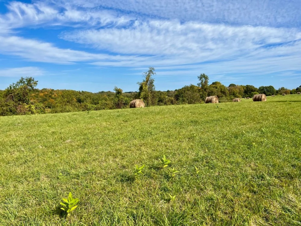 Ridge Rd. Washington County - 16 acres featured image