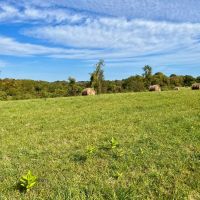 Ridge Rd. Washington County - 16 acres