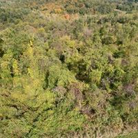 Ridge Rd. Washington County - 16 acres images 5