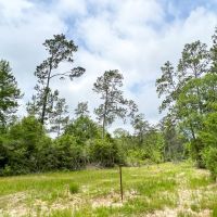 37 Acres FM 2937 C-2 Silsbee Stake images 3