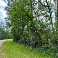 37 Acres FM 2937 C-2 Silsbee Stake images 5