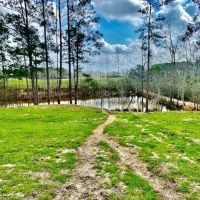 122 acres Improved Pasture Jeff Davis Co. images 3