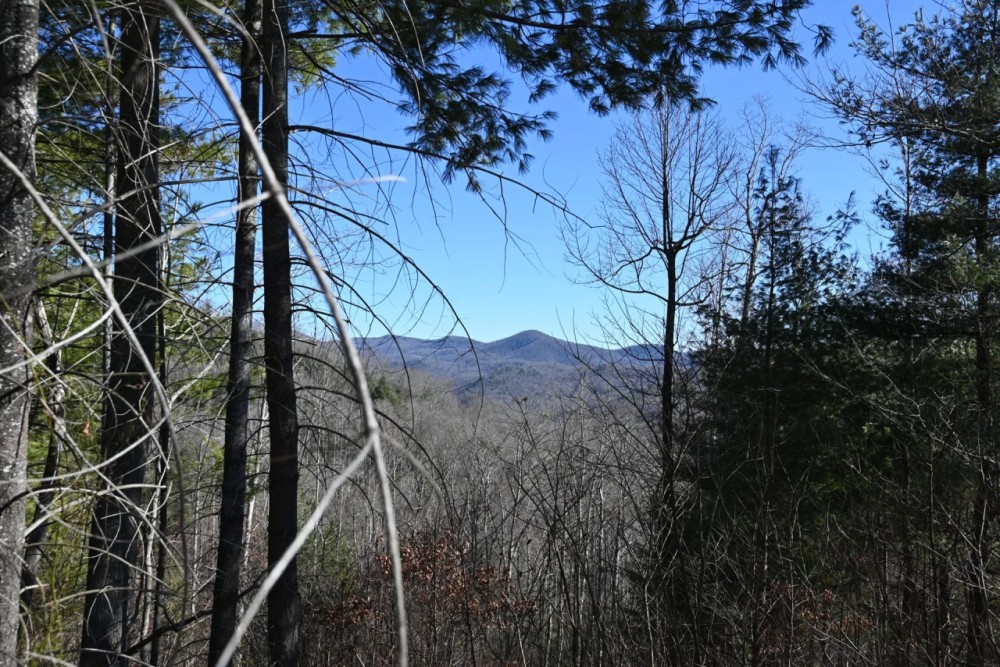 Hwy 64 Mountain Vistas- Franklin NC featured image