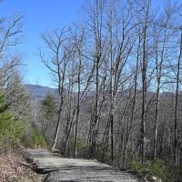 Hwy 64 Mountain Vistas- Franklin NC images 5