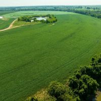 402 - Row Crop Acres Independence County Arkansas