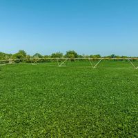 402 - Row Crop Acres Independence County Arkansas images 3
