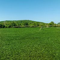 402 - Row Crop Acres Independence County Arkansas images 4