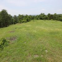Smithville Tract 5—3.29 Acres More Or Less images 3