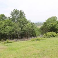 Smithville Tract 5—3.29 Acres More Or Less images 4