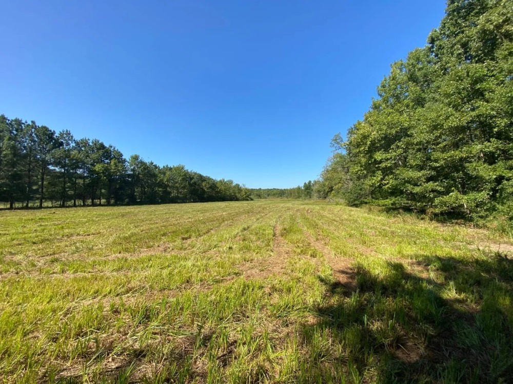 47 - Acres Roland AR featured image