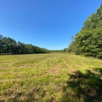 47 - Acres Roland AR