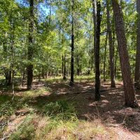 47 - Acres Roland AR images 2