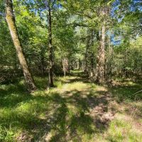 47 - Acres Roland AR images 3
