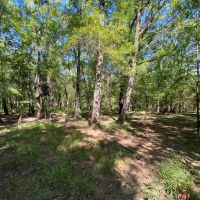 47 - Acres Roland AR images 4
