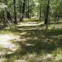 47 - Acres Roland AR images 5