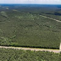 14 Acres T-4 Hunters Hill Road images 3