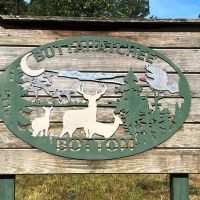 Buttahatchee Bottom
