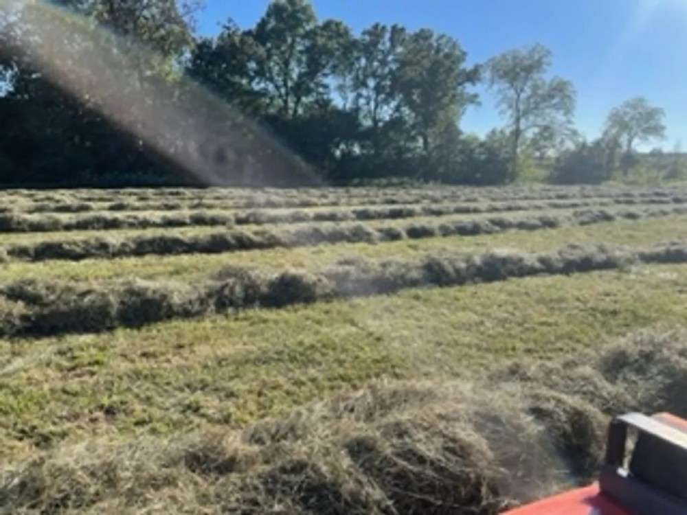 62 Acres Hay ground Pasture Live Water Howell County featured image