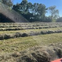 62 Acres Hay ground Pasture Live Water Howell County