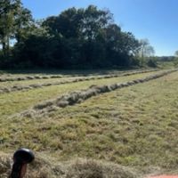62 Acres Hay ground Pasture Live Water Howell County images 2